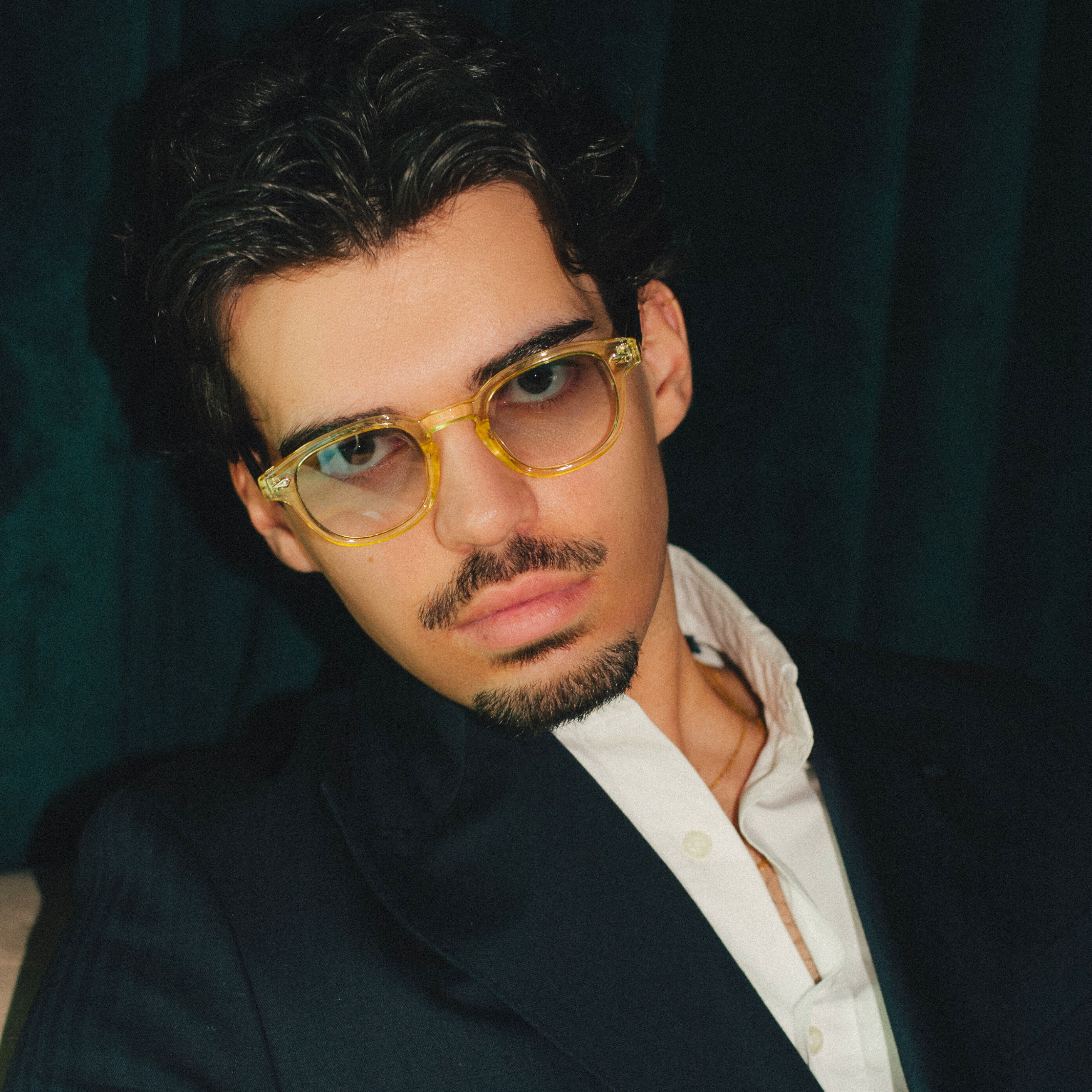 LE CORBUSIER / TORTOISE & TRANSPARENT