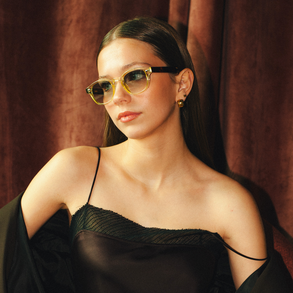 LE CORBUSIER / TORTOISE & TRANSPARENT