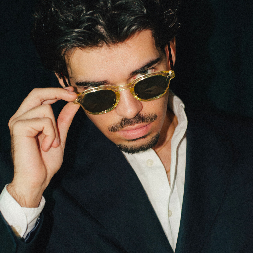 LE CORBUSIER / SCHILDKRÖTE &amp; TRANSPARENT