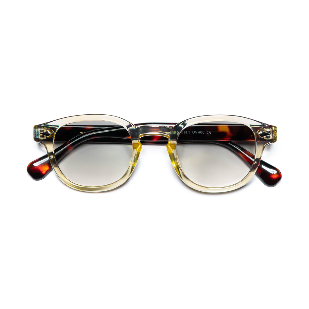 LE CORBUSIER / TORTOISE & TRANSPARENT