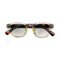 LE CORBUSIER / TORTOISE & TRANSPARENT