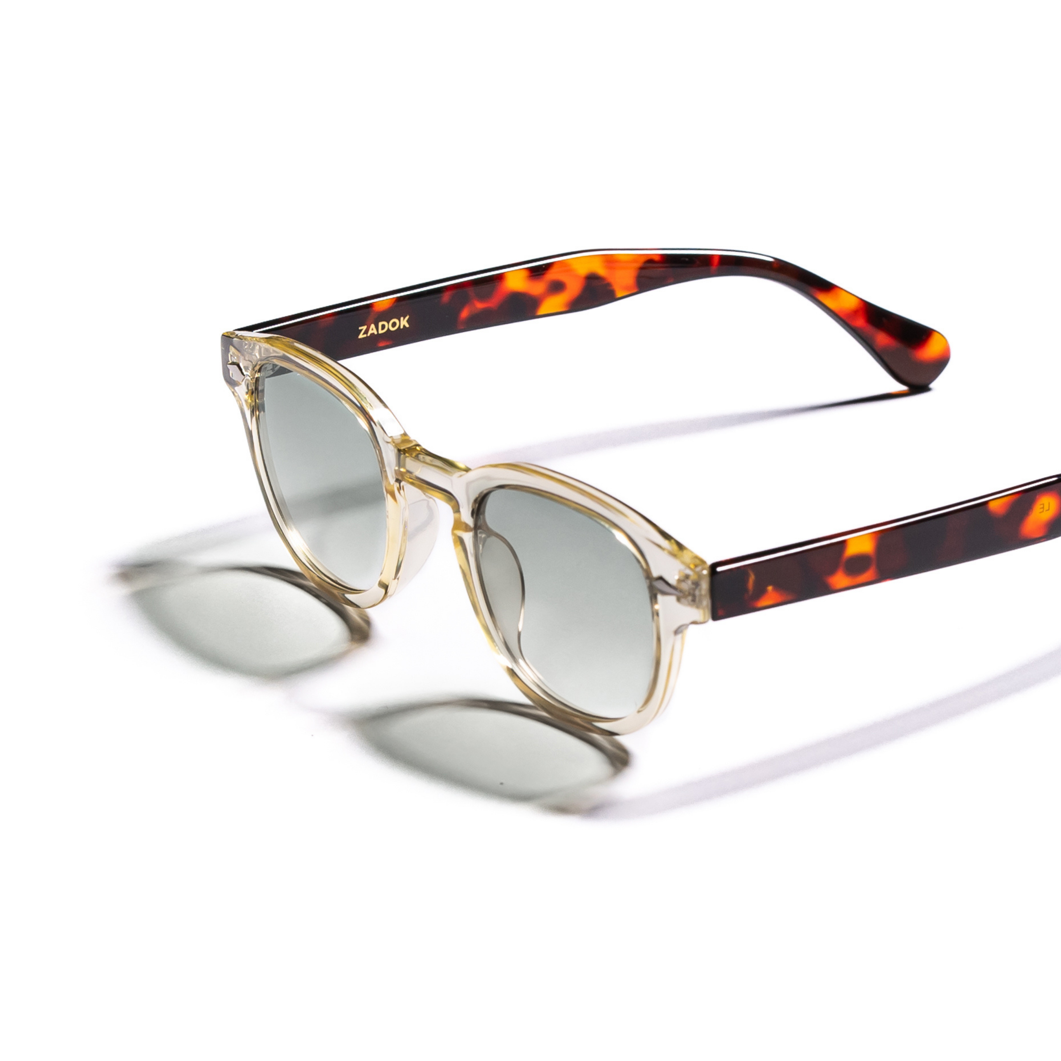 LE CORBUSIER / TORTOISE & TRANSPARENT